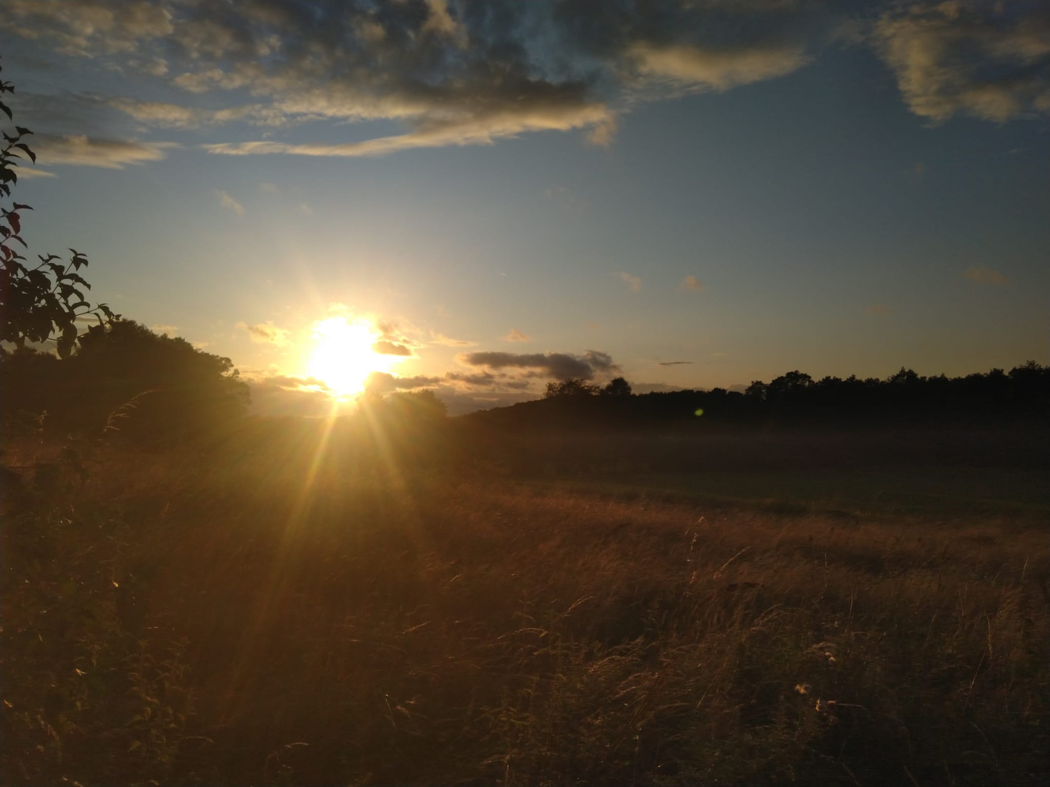 Paysage champêtre