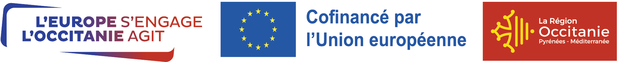 Logo Fse Transparent Full Min